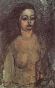Amedeo Modigliani Jeune fille nue (mk38) USA oil painting artist